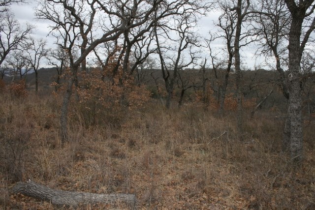 D69 Hensley Road Gordon TX 76453