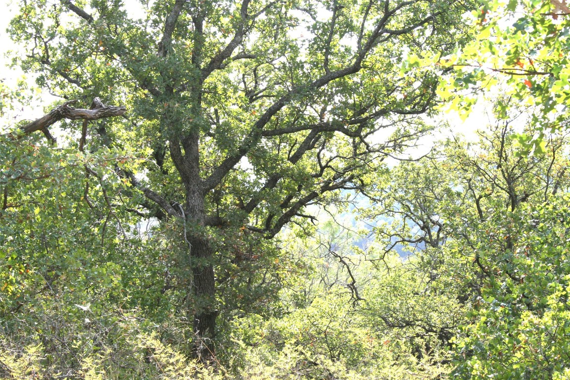 D69 Hensley Road Gordon TX 76453