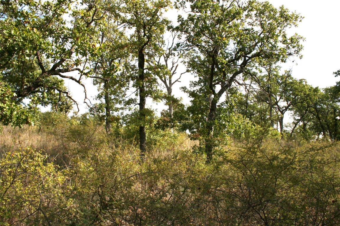 D69 Hensley Road Gordon TX 76453