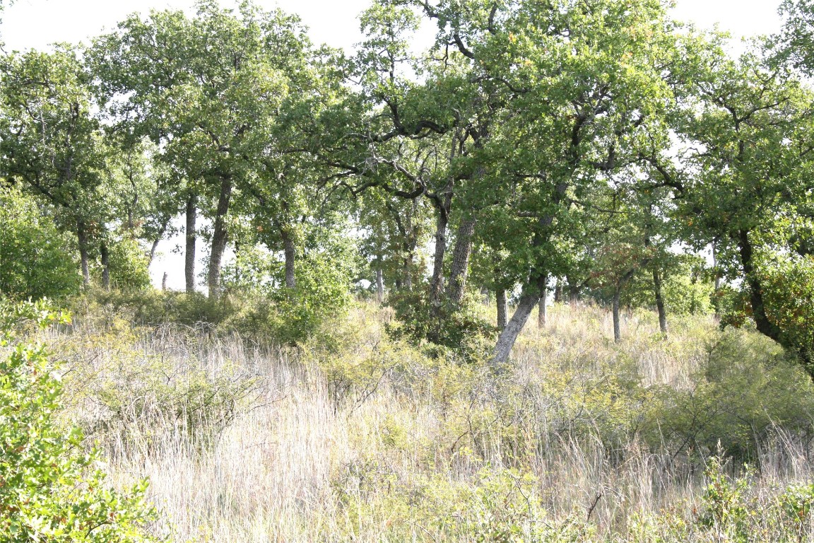D69 Hensley Road Gordon TX 76453