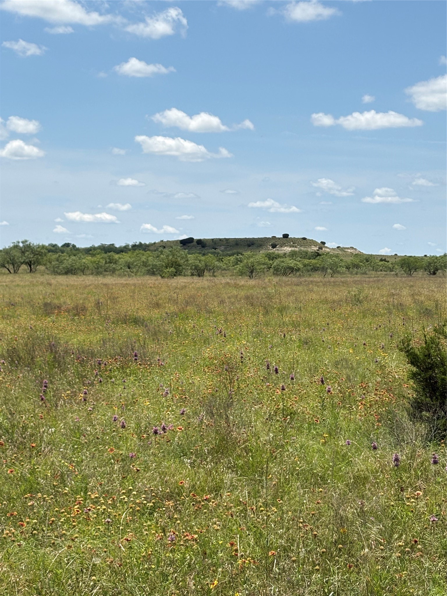 TBD-225 Cr 620 Hamilton TX 76531