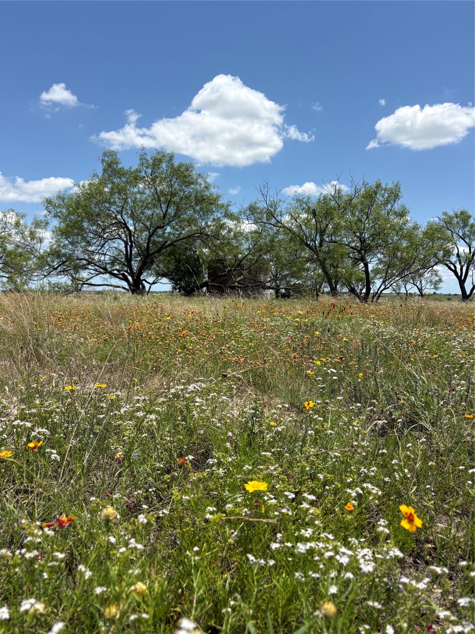 TBD-225 Cr 620 Hamilton TX 76531