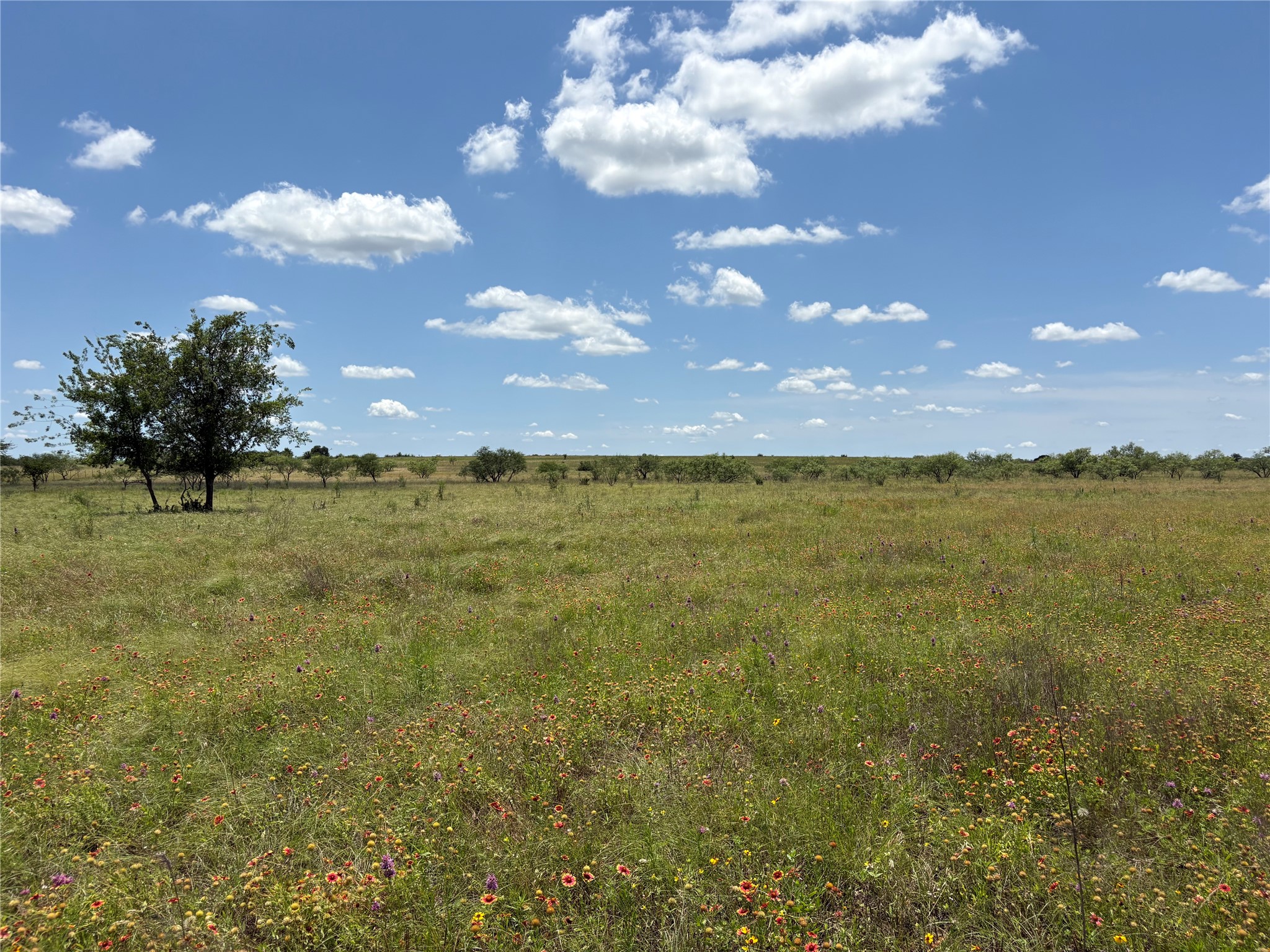 TBD-225 Cr 620 Hamilton TX 76531