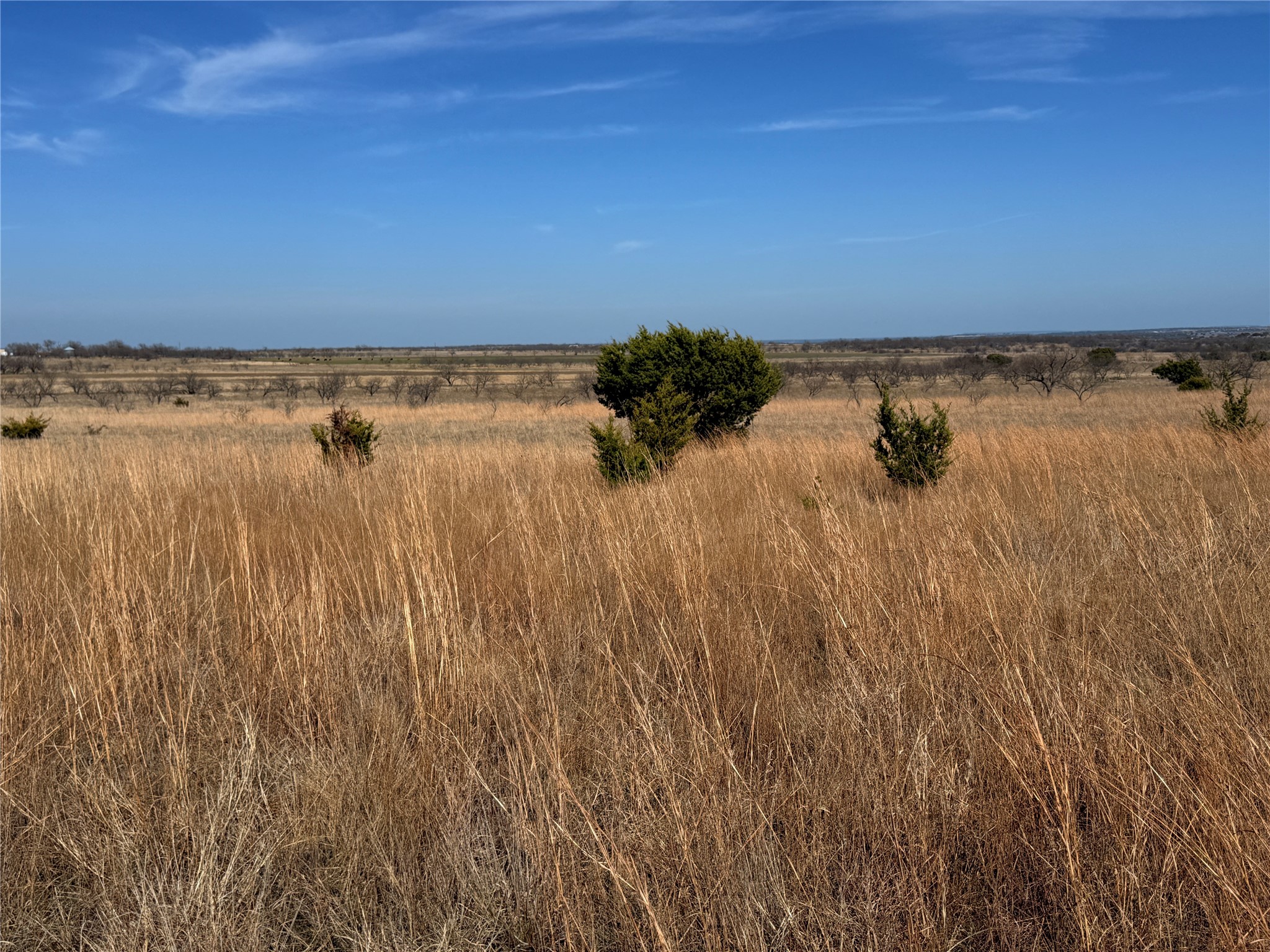 TBD-225 Cr 620 Hamilton TX 76531