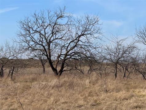 TBD-225 Cr 620 Hamilton TX 76531