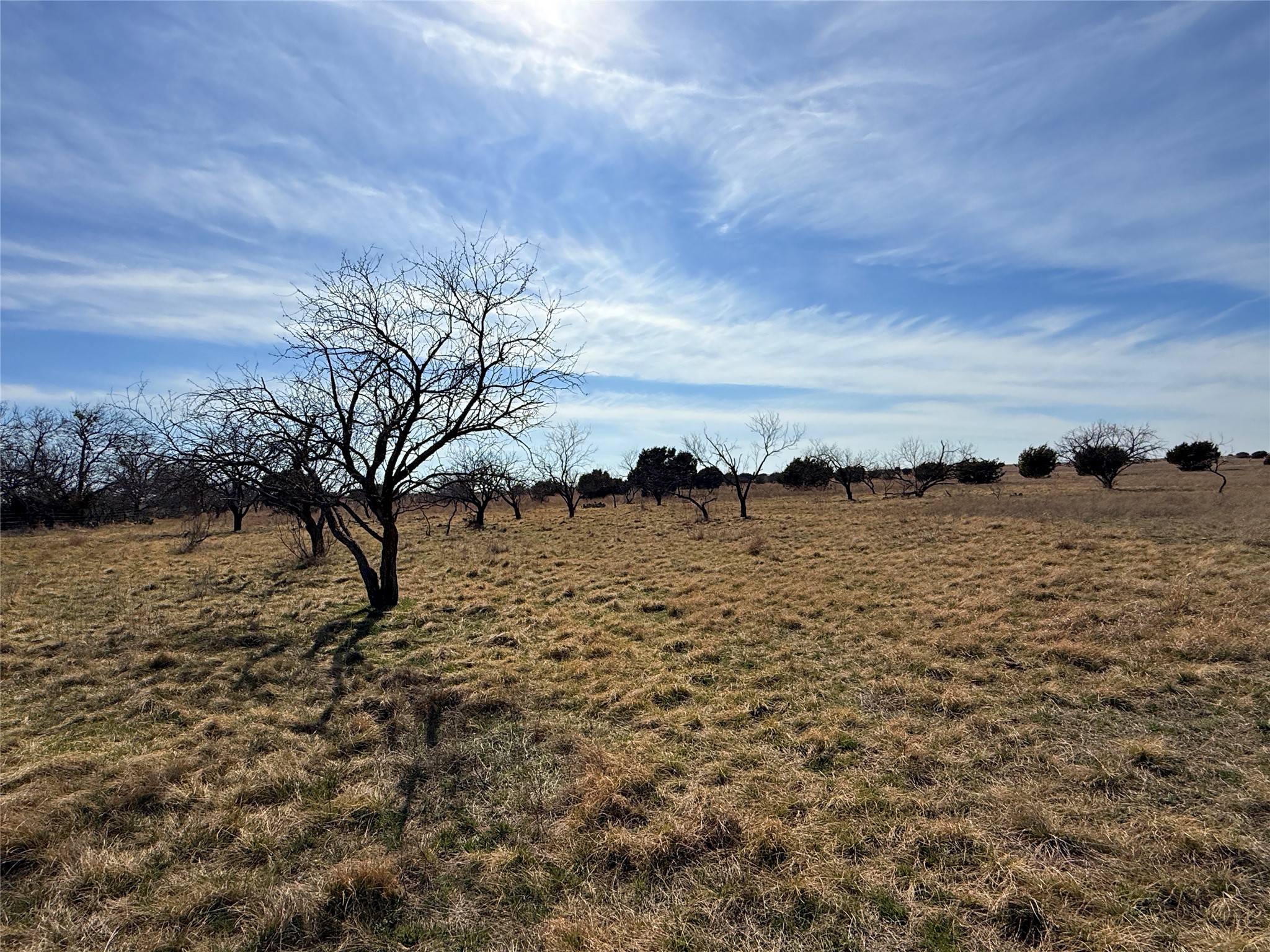 TBD-225 Cr 620 Hamilton TX 76531