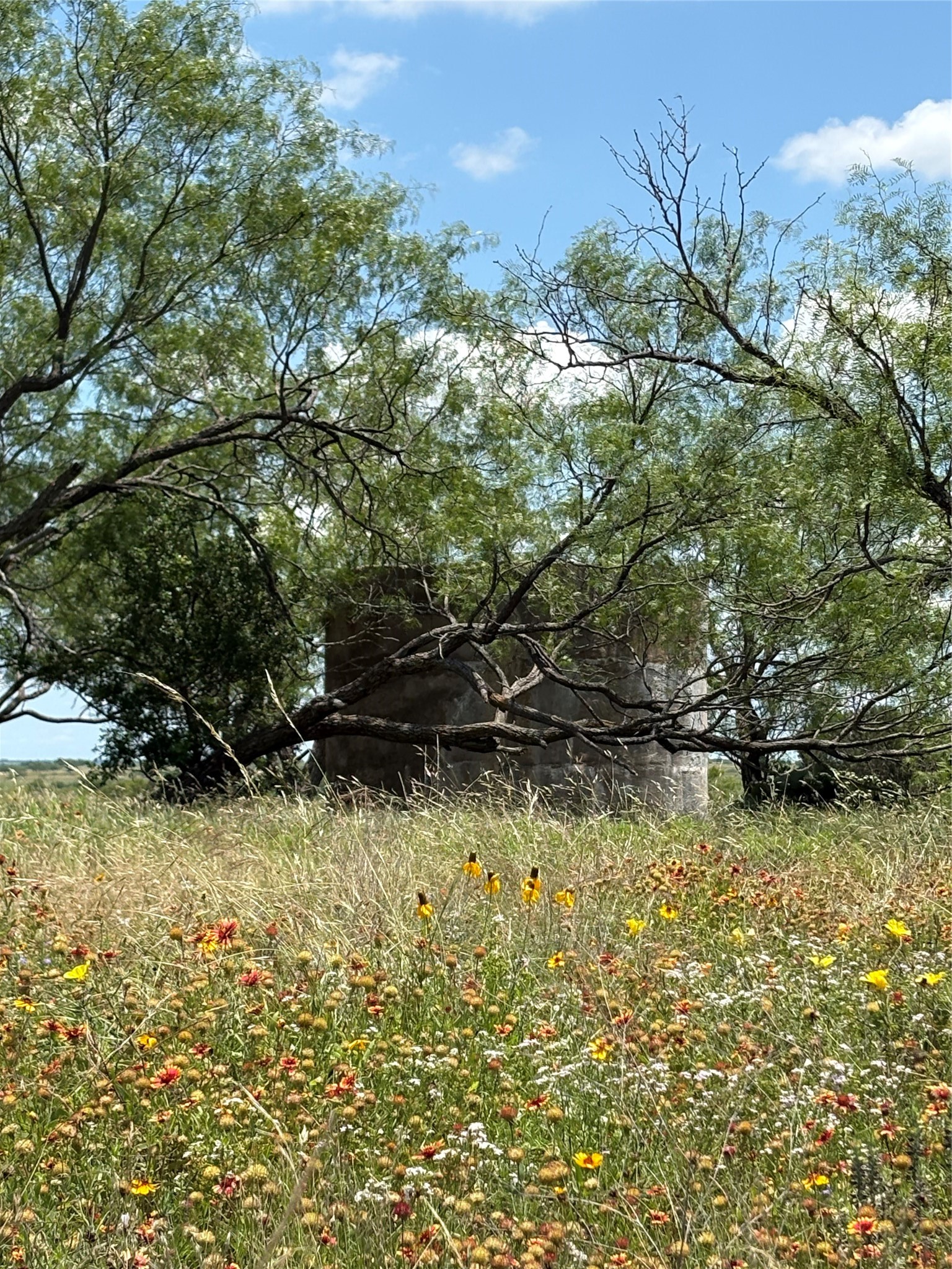 TBD-225 Cr 620 Hamilton TX 76531