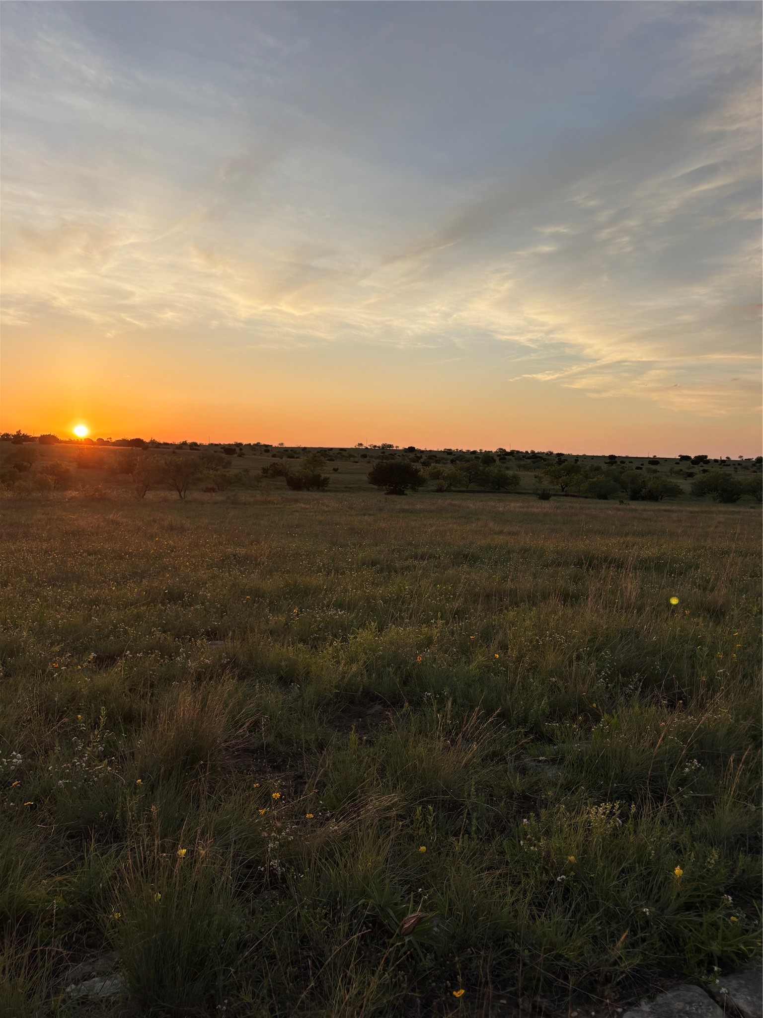 TBD-225 Cr 620 Hamilton TX 76531
