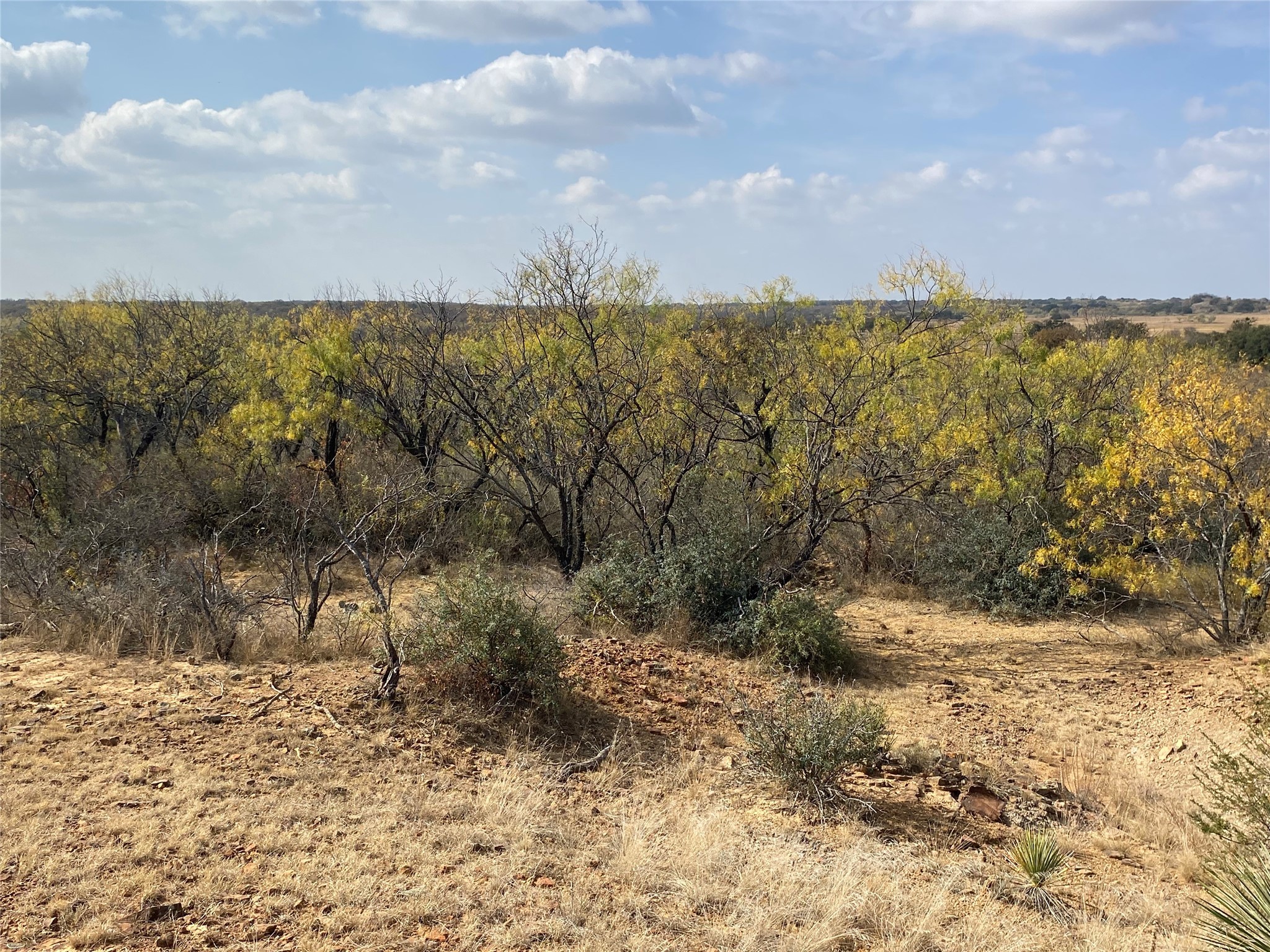 14500 County Road 129 Brownwood TX 76801
