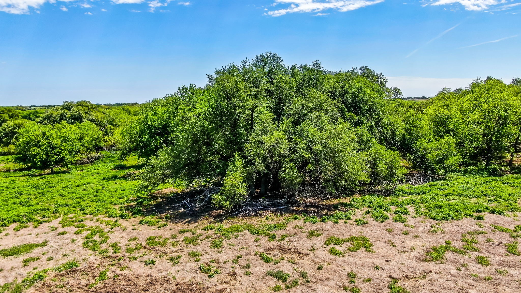Tbd County Road 392 Stephenville TX 76401