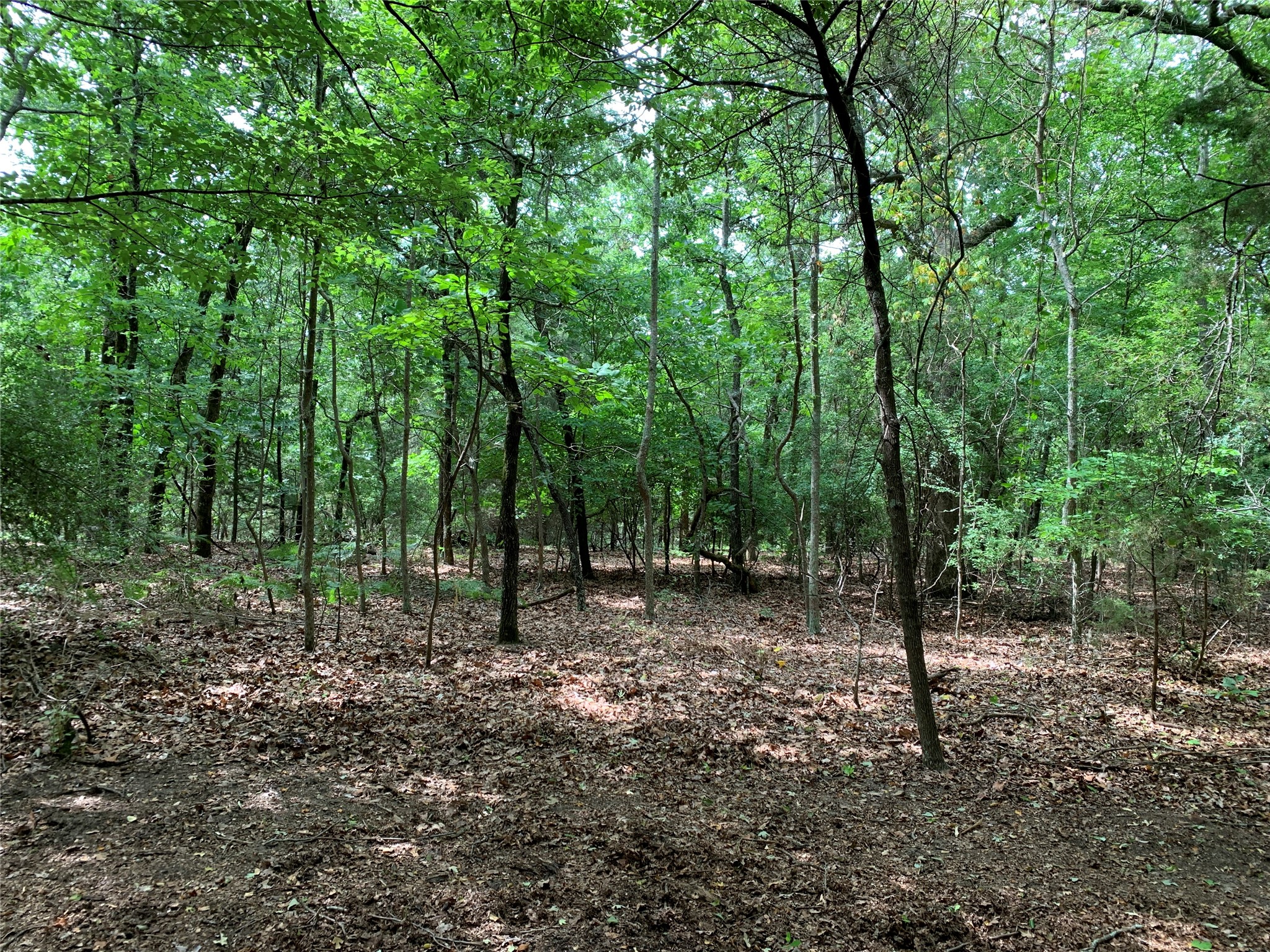 Tbd County Road 3711 Athens TX 75752
