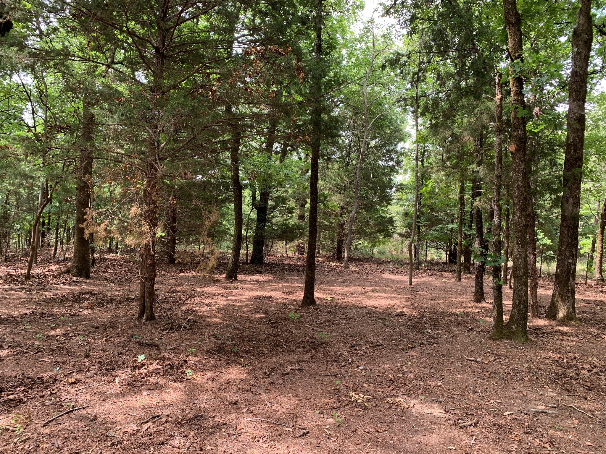 Tbd County Road 3711 Athens TX 75752