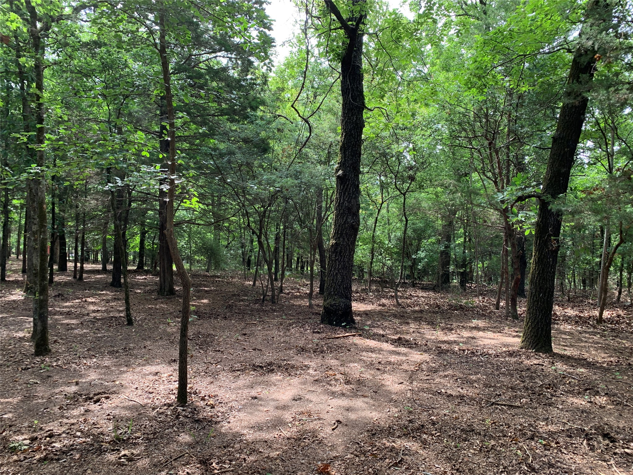 Tbd County Road 3711 Athens TX 75752