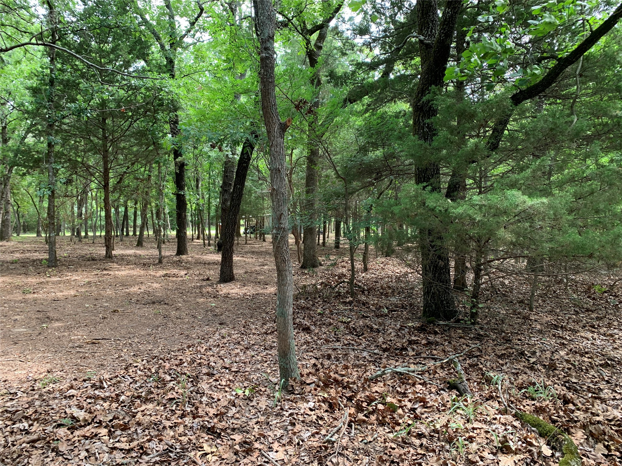 Tbd County Road 3711 Athens TX 75752