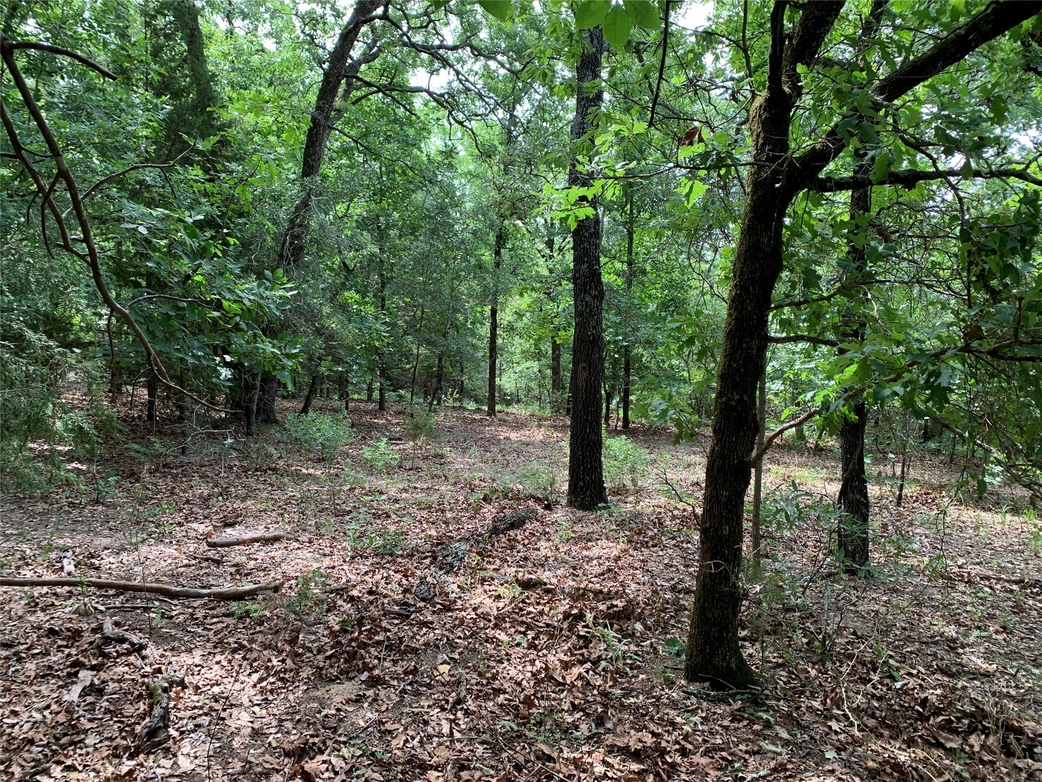 Tbd County Road 3711 Athens TX 75752