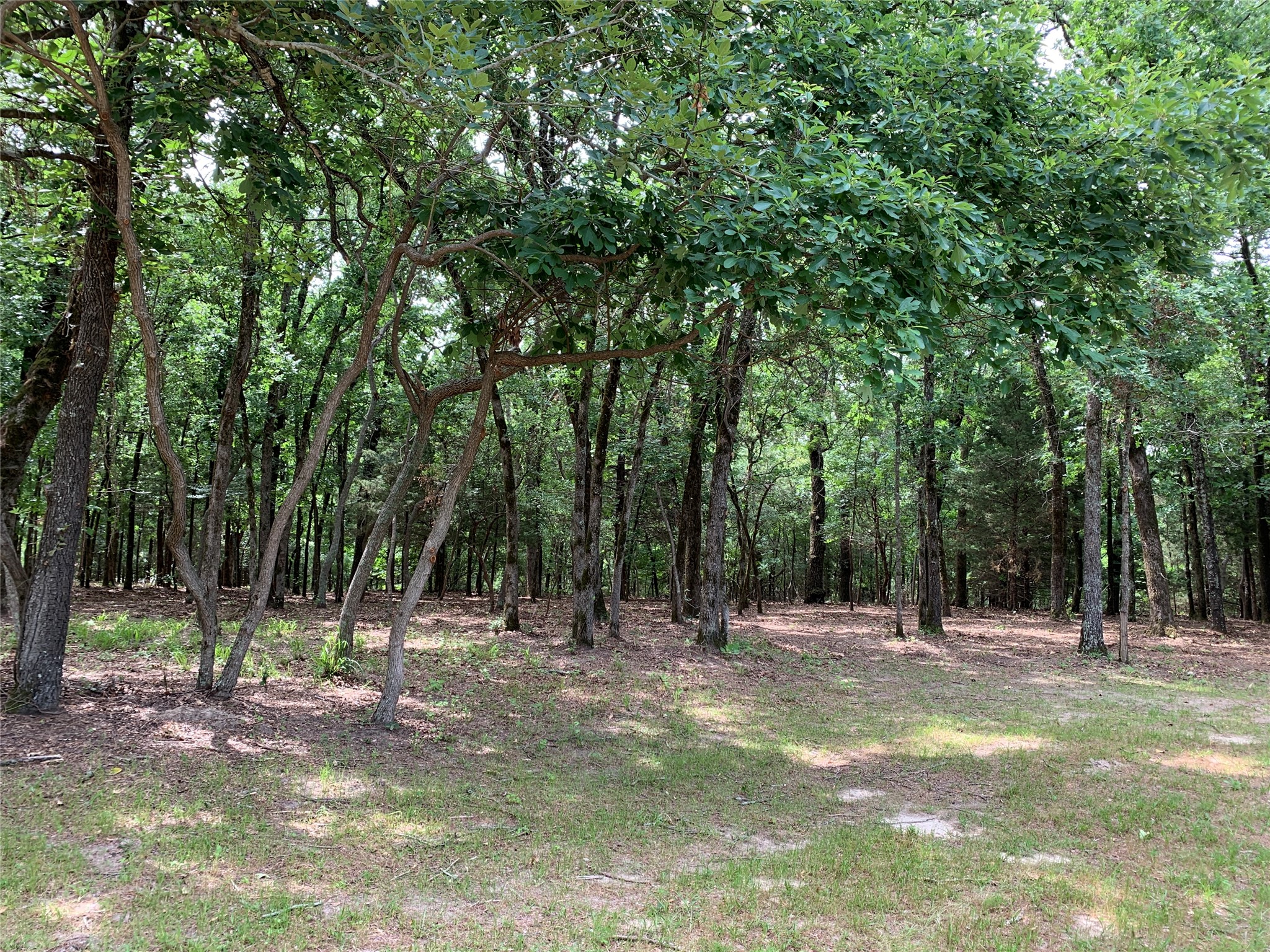 Tbd County Road 3711 Athens TX 75752