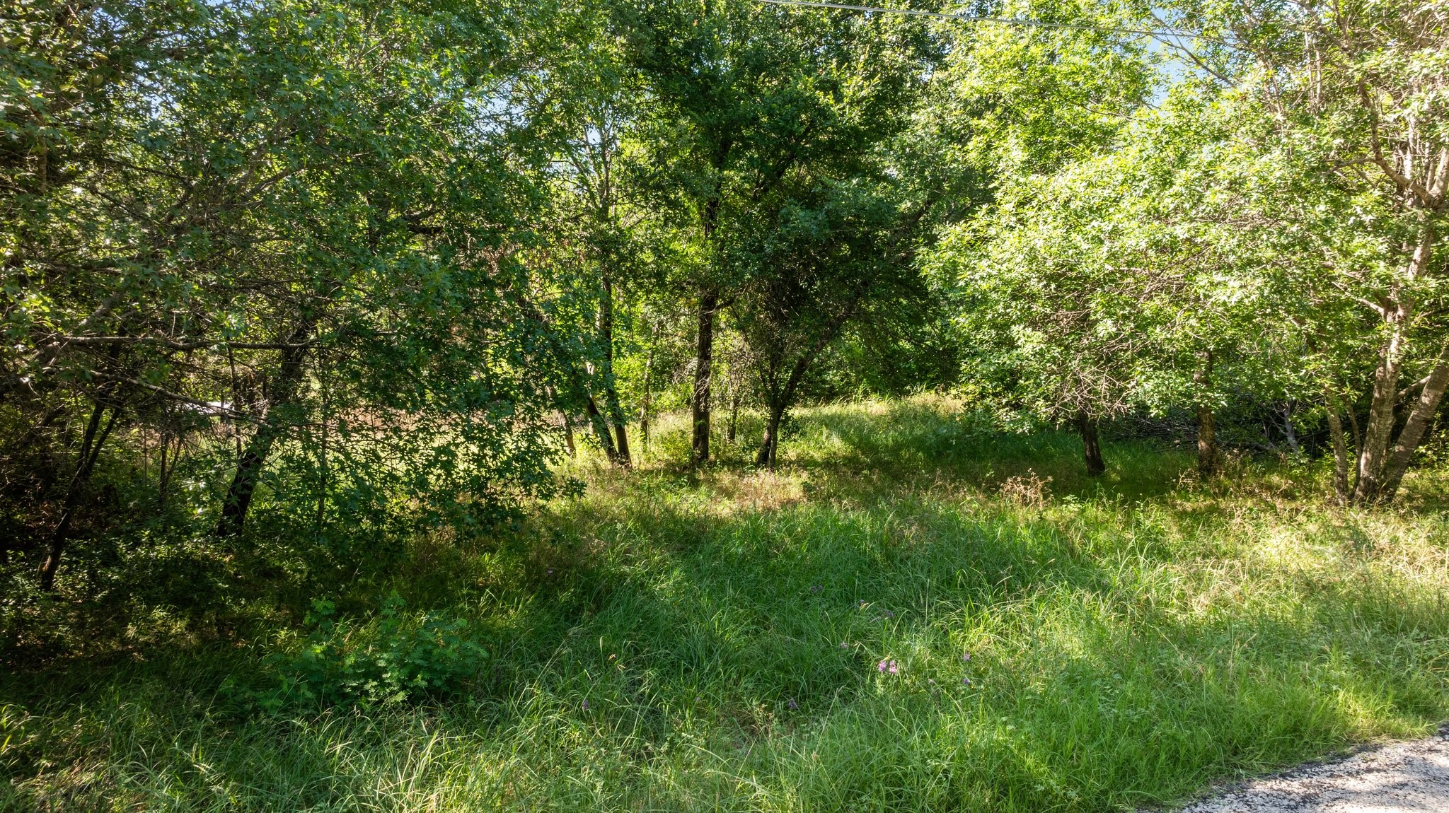 2549 Forest Park Drive Granbury TX 76048