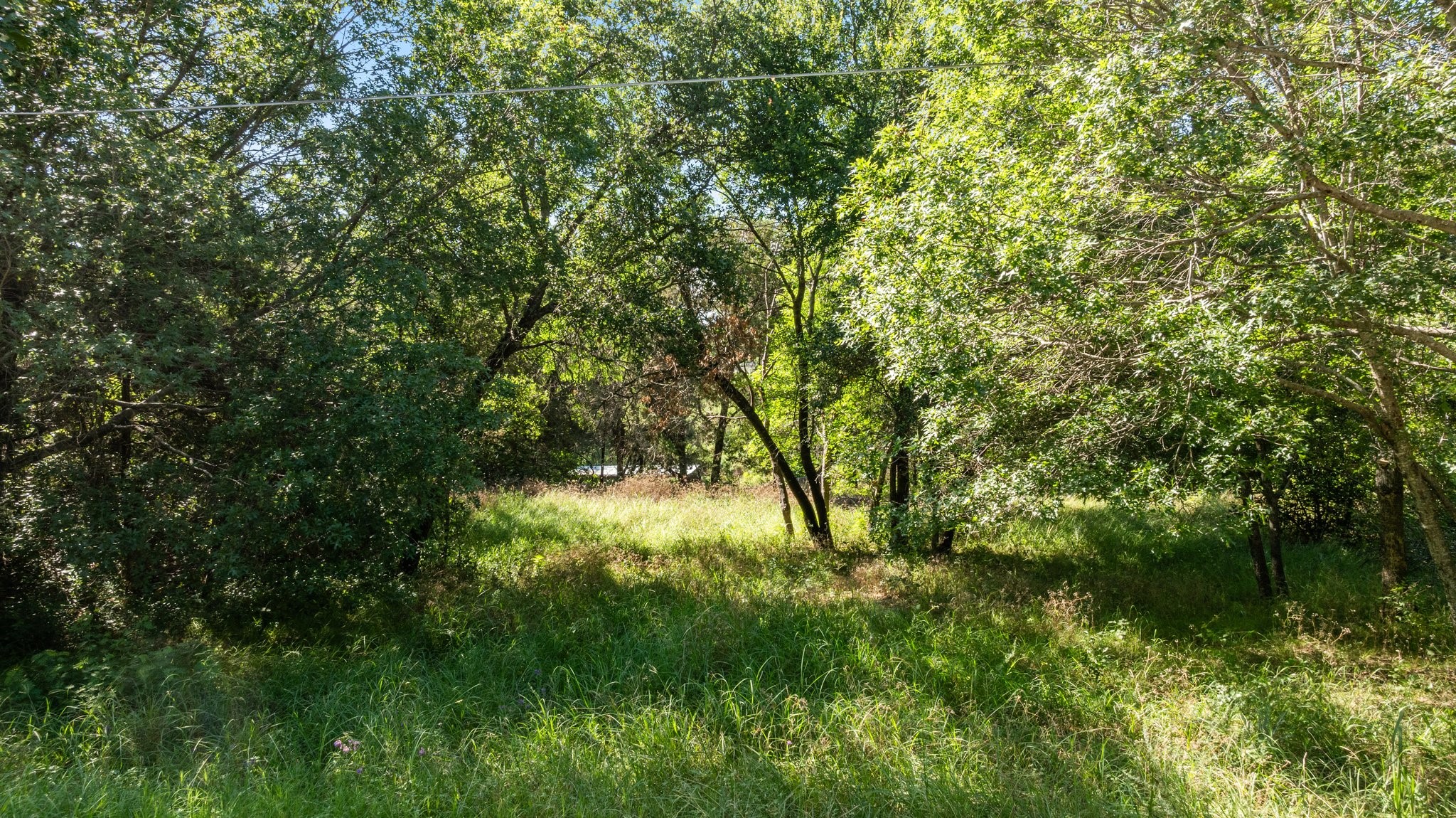 2549 Forest Park Drive Granbury TX 76048