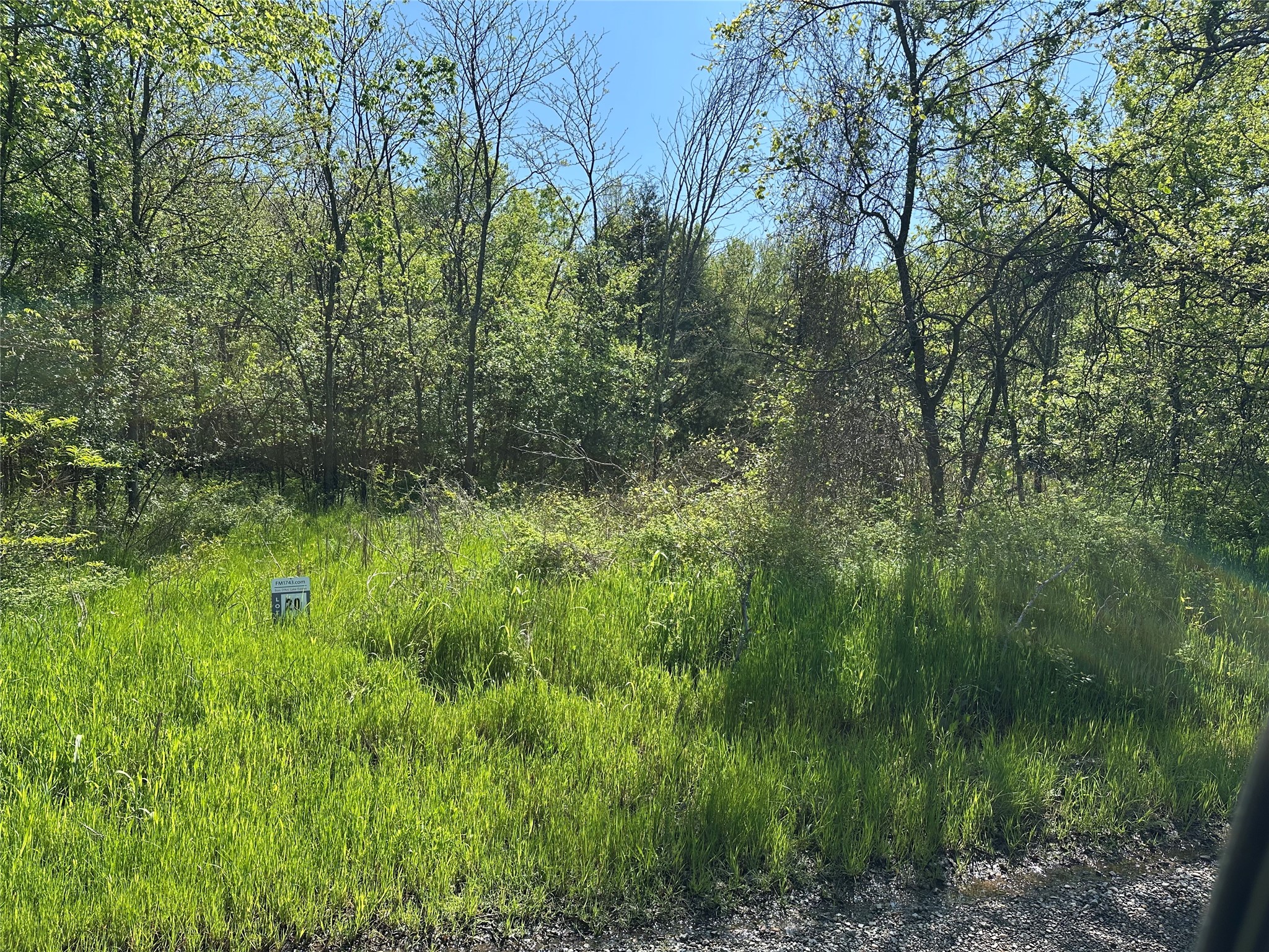 Tract 20 County Road 2960 Honey Grove TX 75446