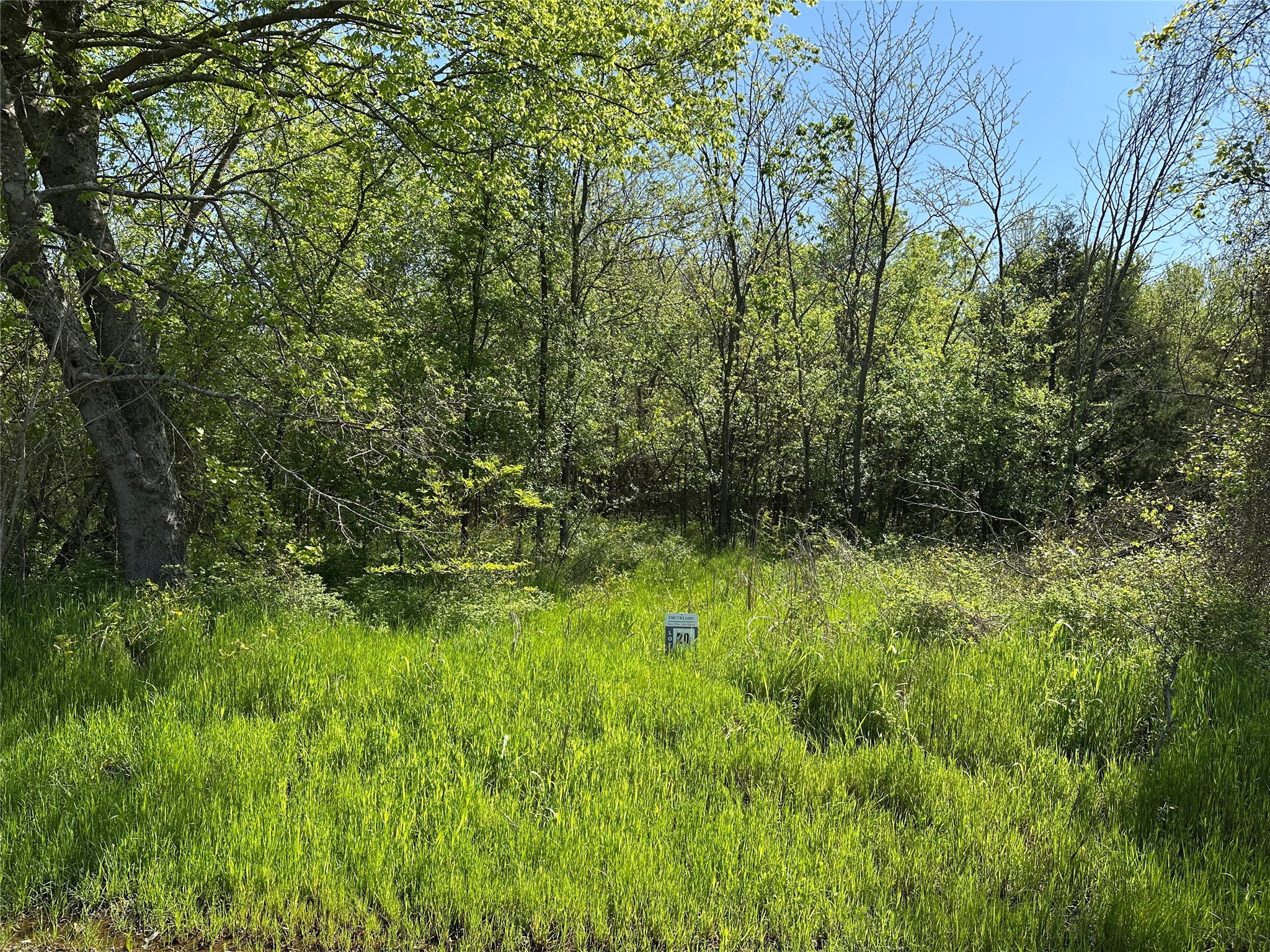 Tract 20 County Road 2960 Honey Grove TX 75446