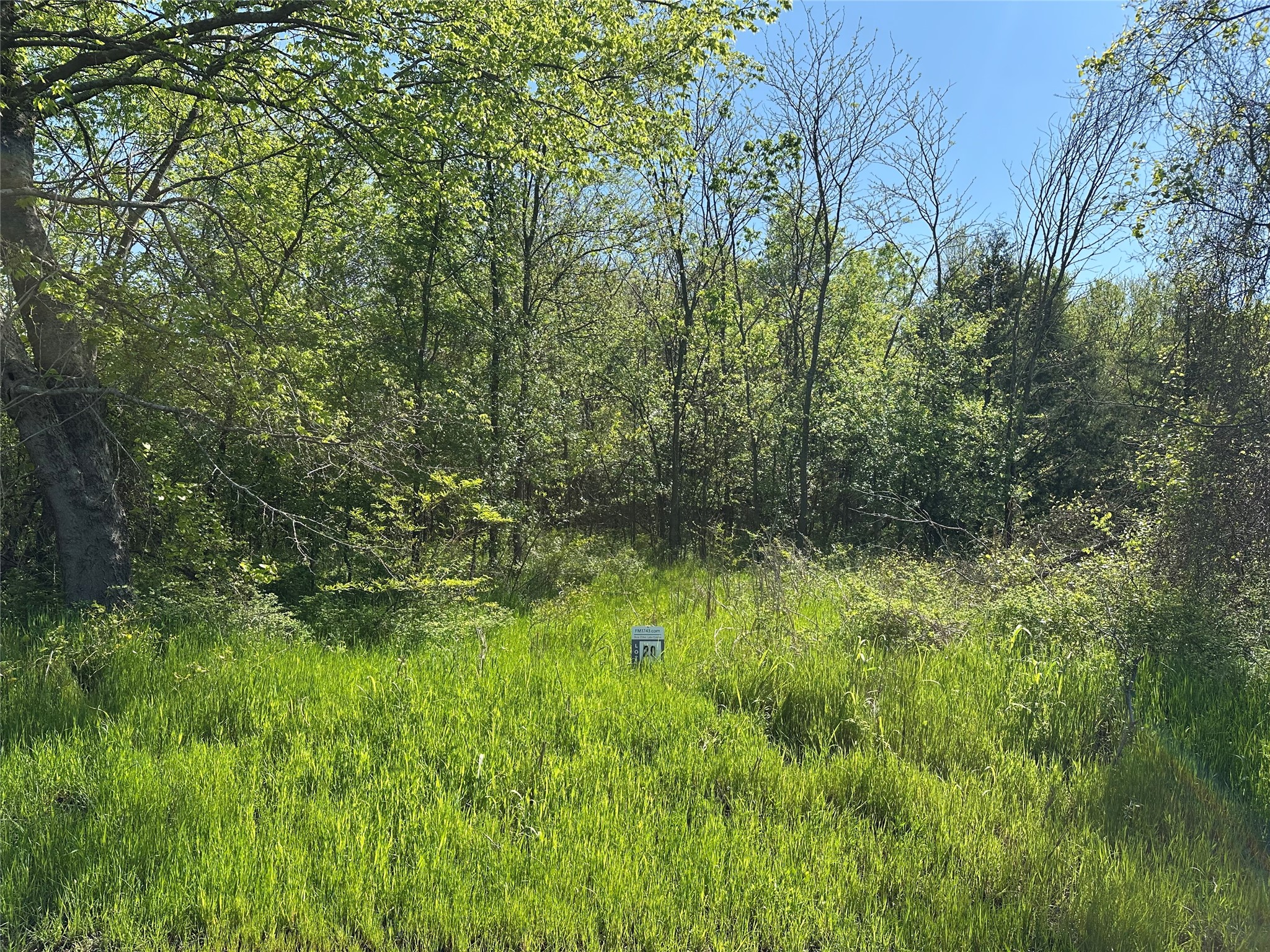Tract 20 County Road 2960 Honey Grove TX 75446