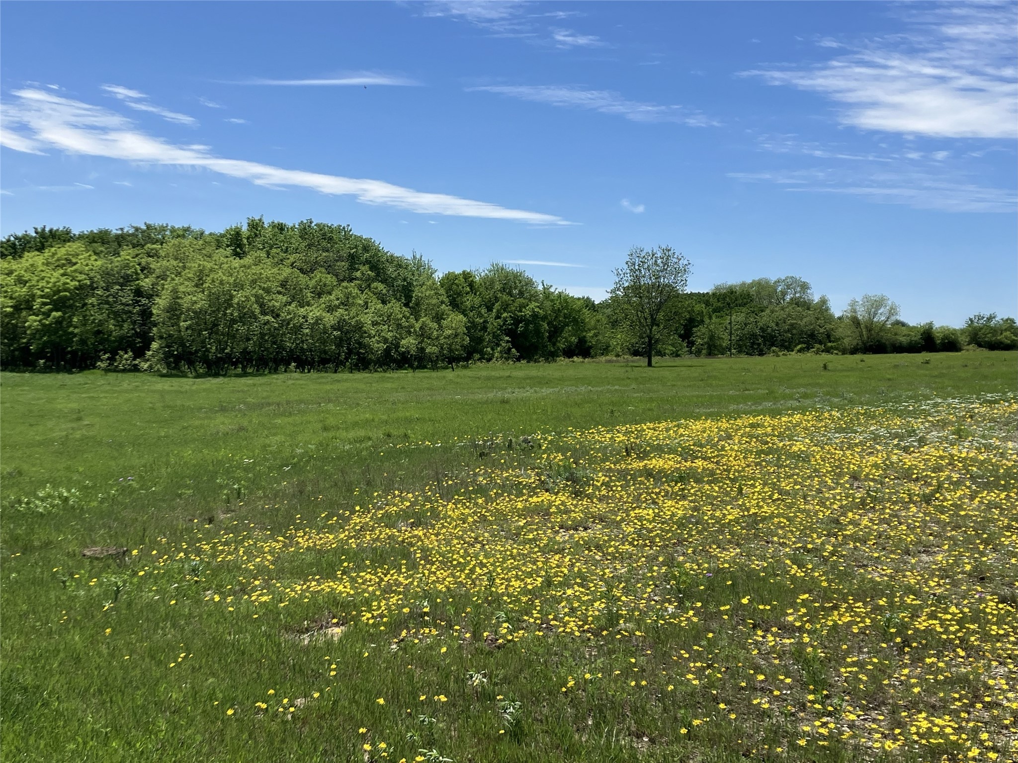 1332 County Road 423 Muenster TX 76252