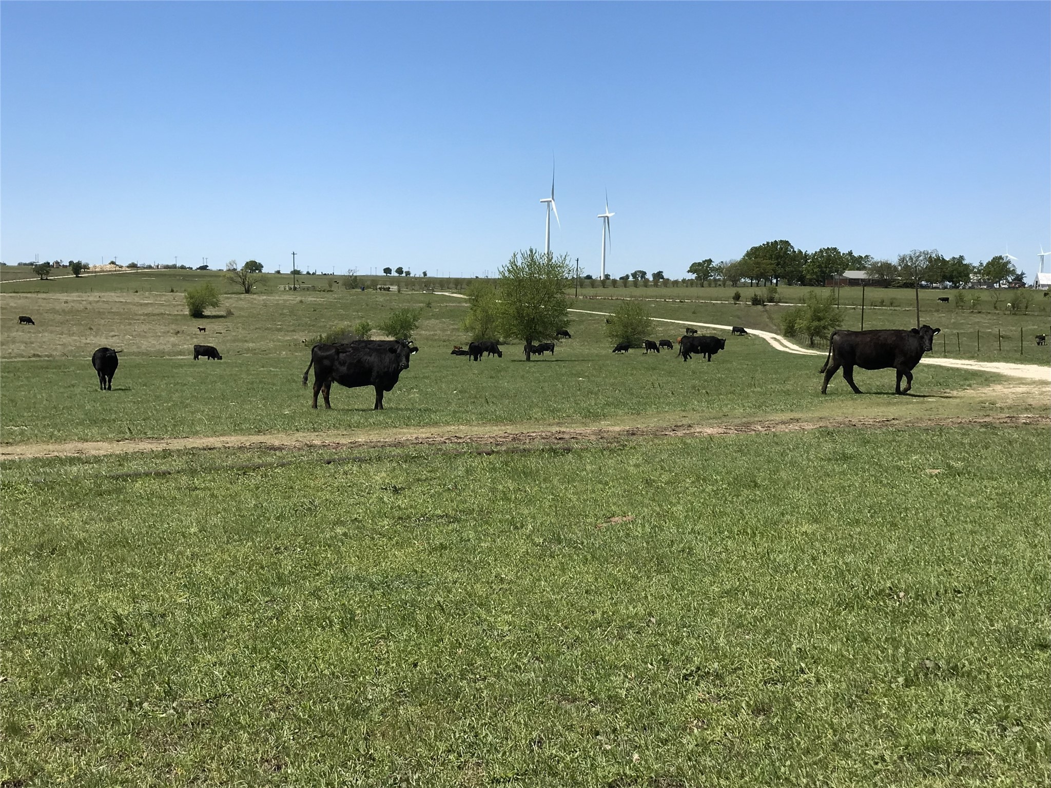 1332 County Road 423 Muenster TX 76252