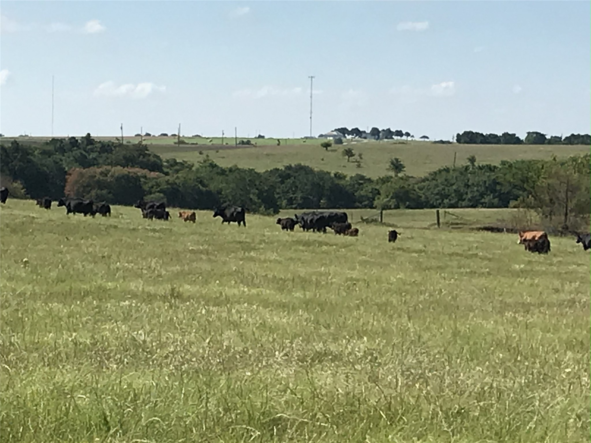 1332 County Road 423 Muenster TX 76252