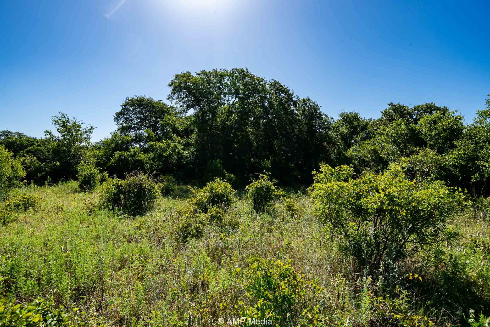 9999 County Road 240 Rising Star TX 76471