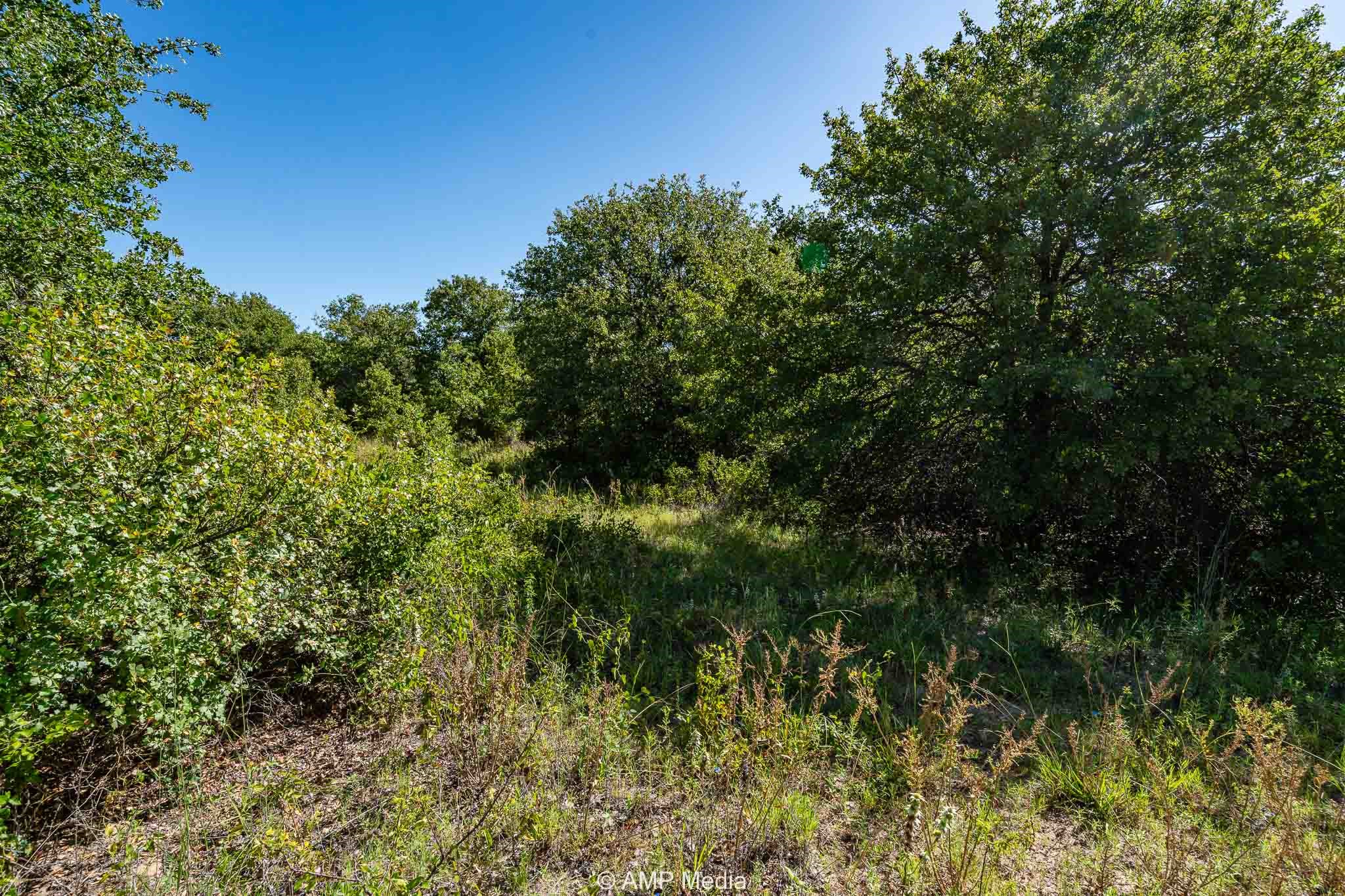 9999 County Road 240 Rising Star TX 76471