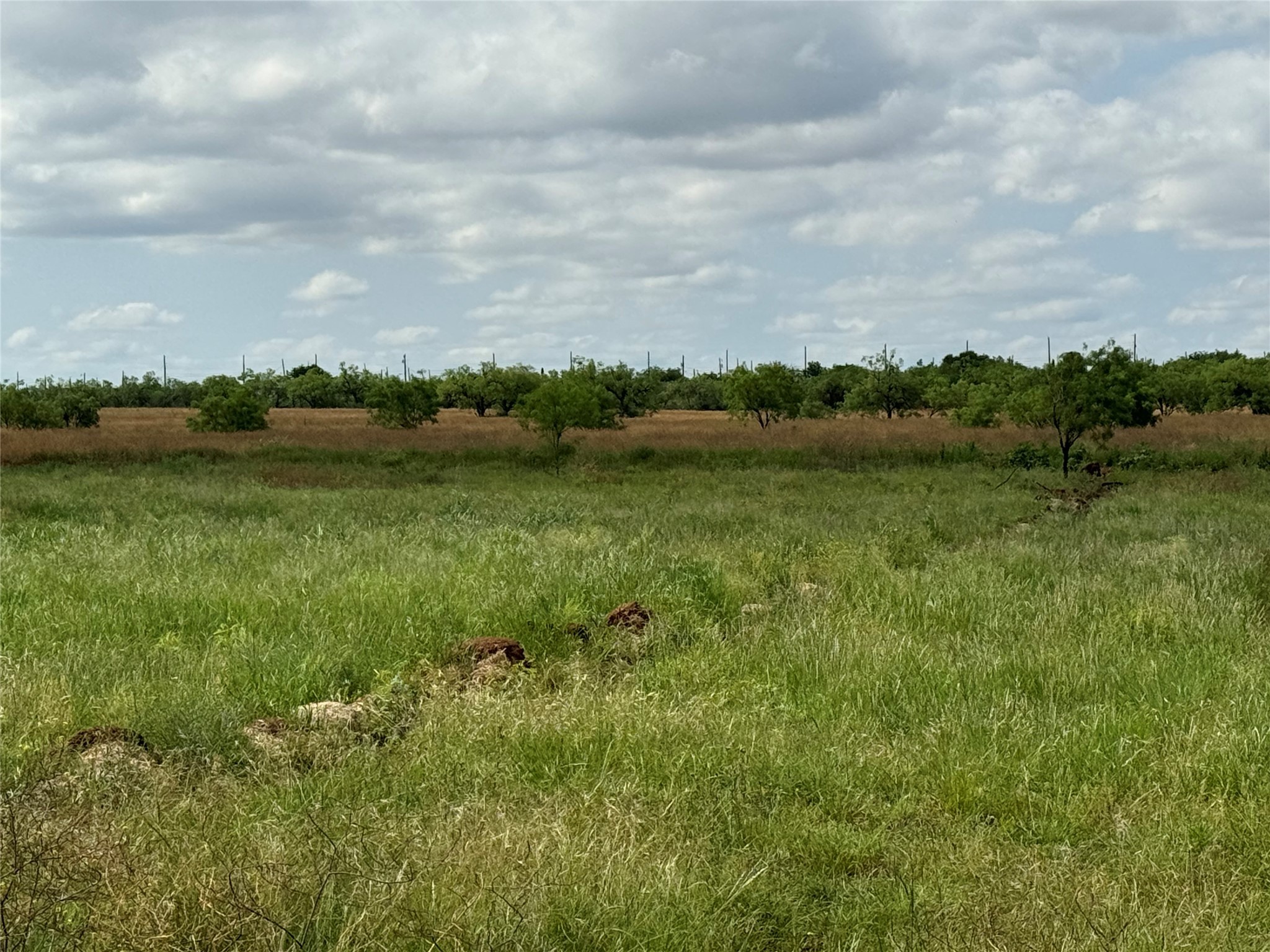 5 Acres-tbd-hines Road Hines Tye TX 79563