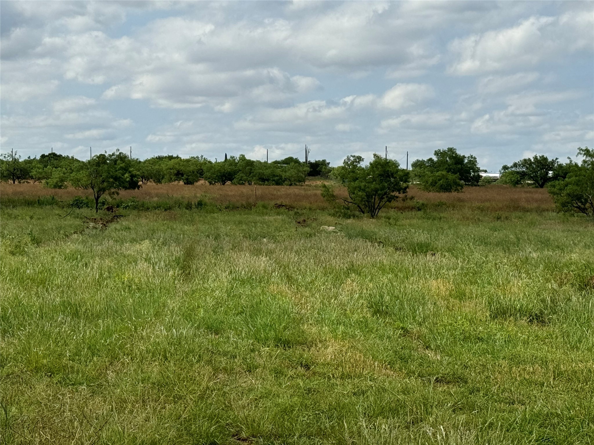 5 Acres-tbd-hines Road Hines Tye TX 79563