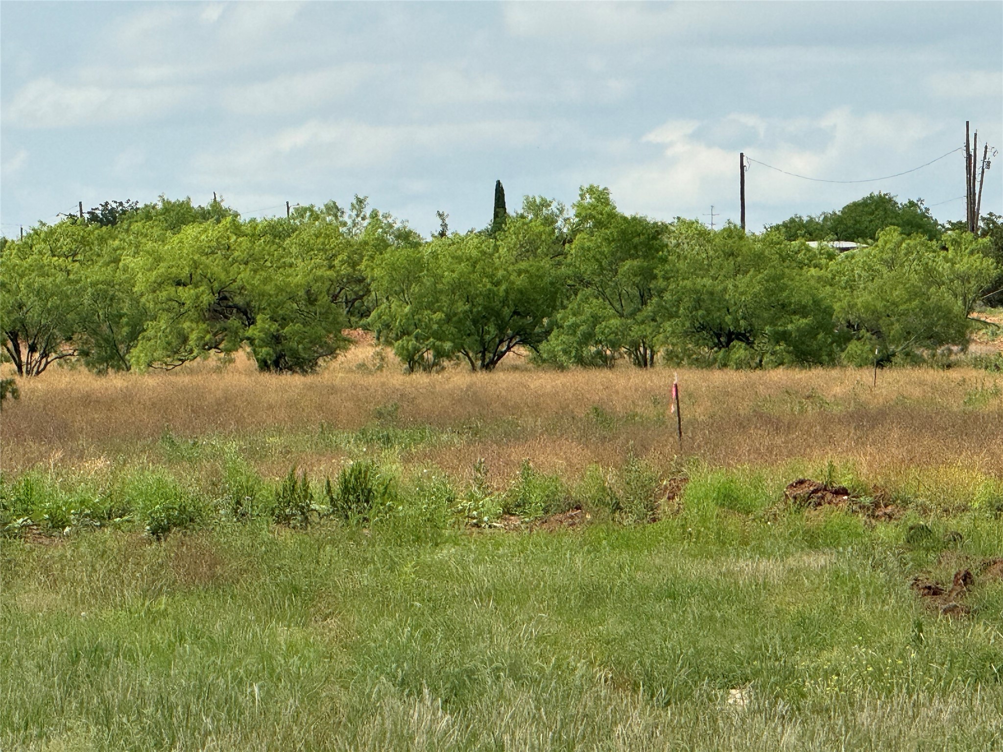 5 Acres-tbd-hines Road Hines Tye TX 79563