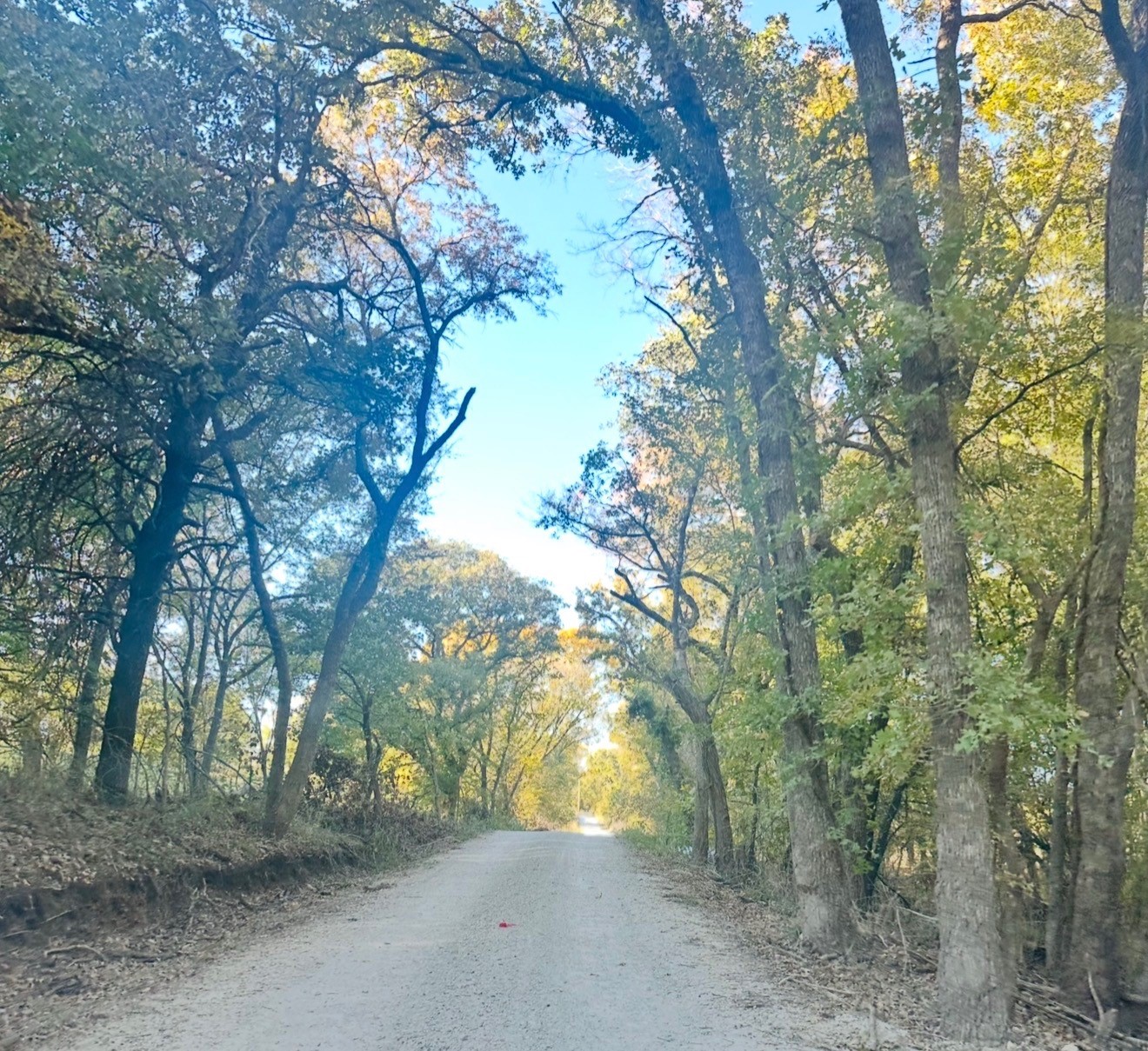 Tbd Hcr 1307 Hillsboro TX 76645