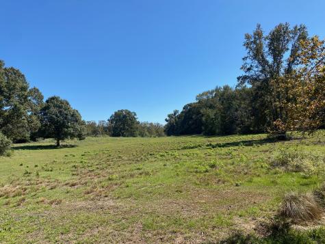 TBD 007 County Road 242 Oakwood TX 75855
