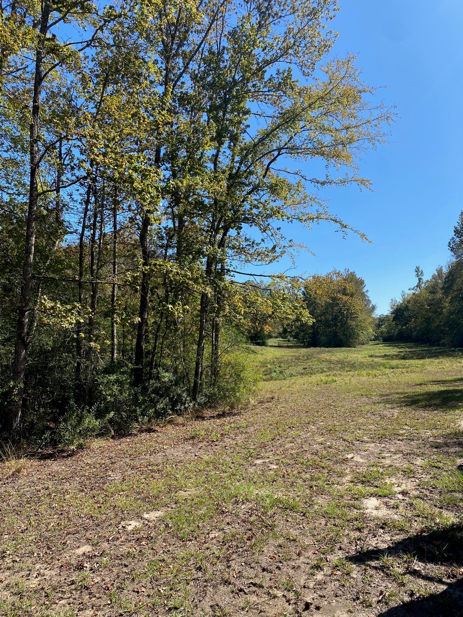 Tbd 007 County Road 242 Oakwood TX 75855