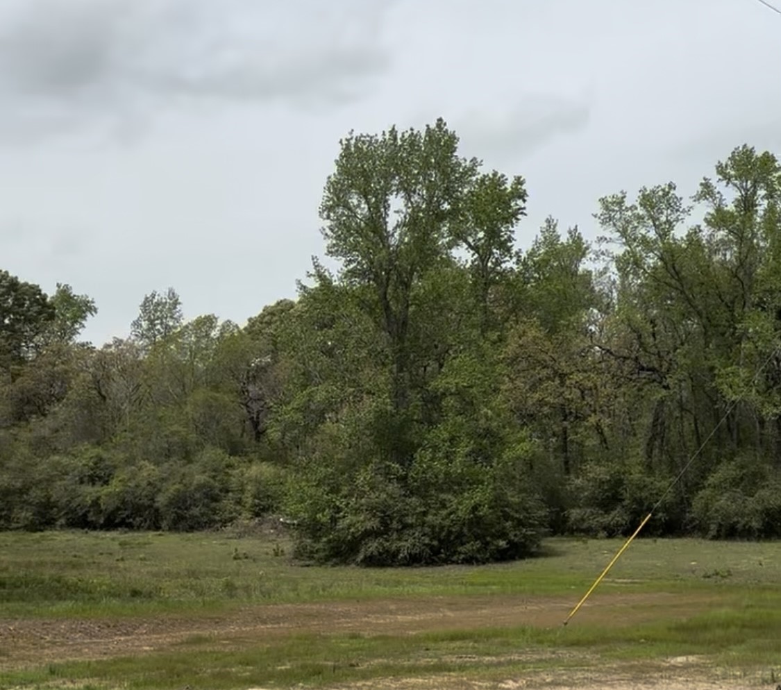 Tbd 007 County Road 242 Oakwood TX 75855