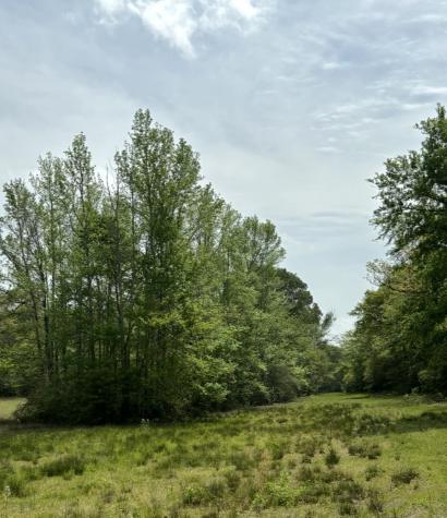 Tbd 007 County Road 242 Oakwood TX 75855