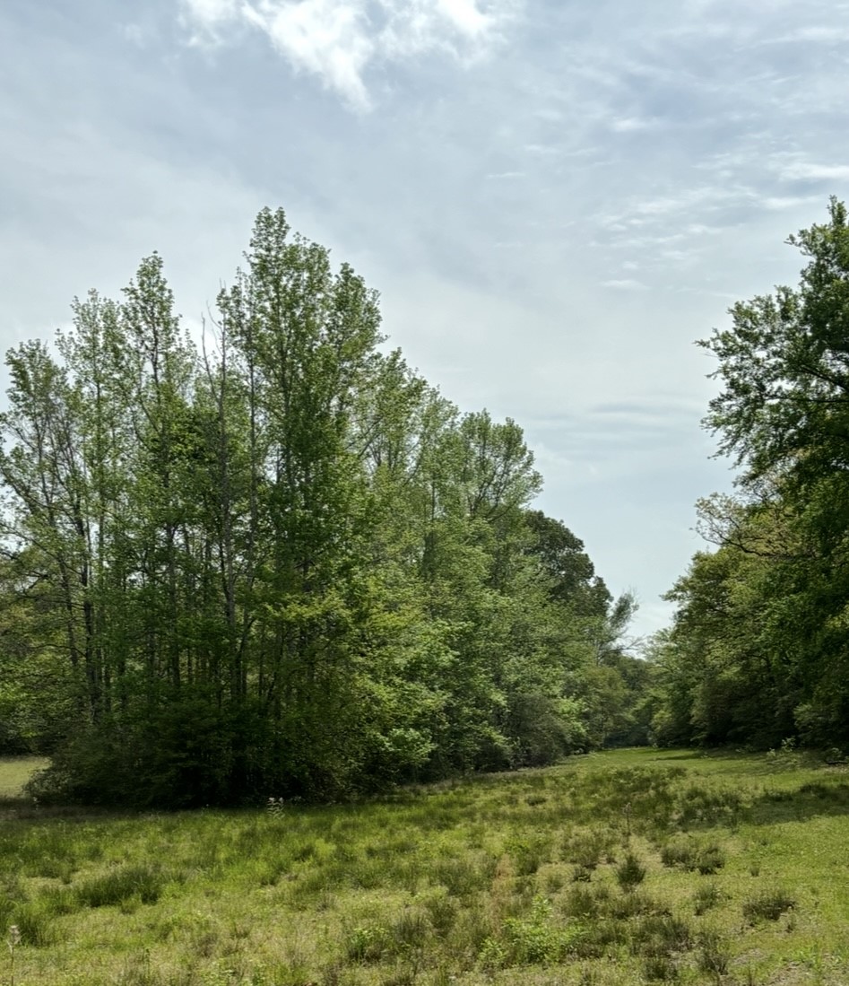 Tbd 007 County Road 242 Oakwood TX 75855