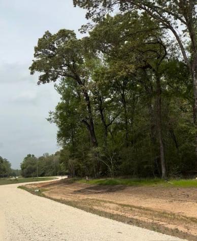 Tbd 007 County Road 242 Oakwood TX 75855