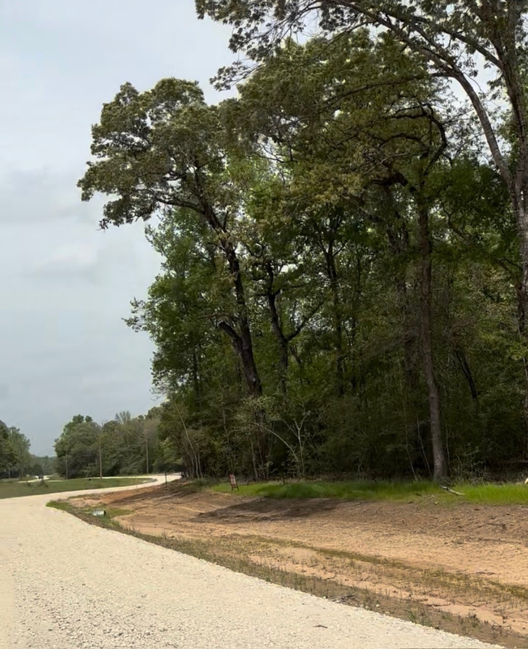 Tbd 007 County Road 242 Oakwood TX 75855