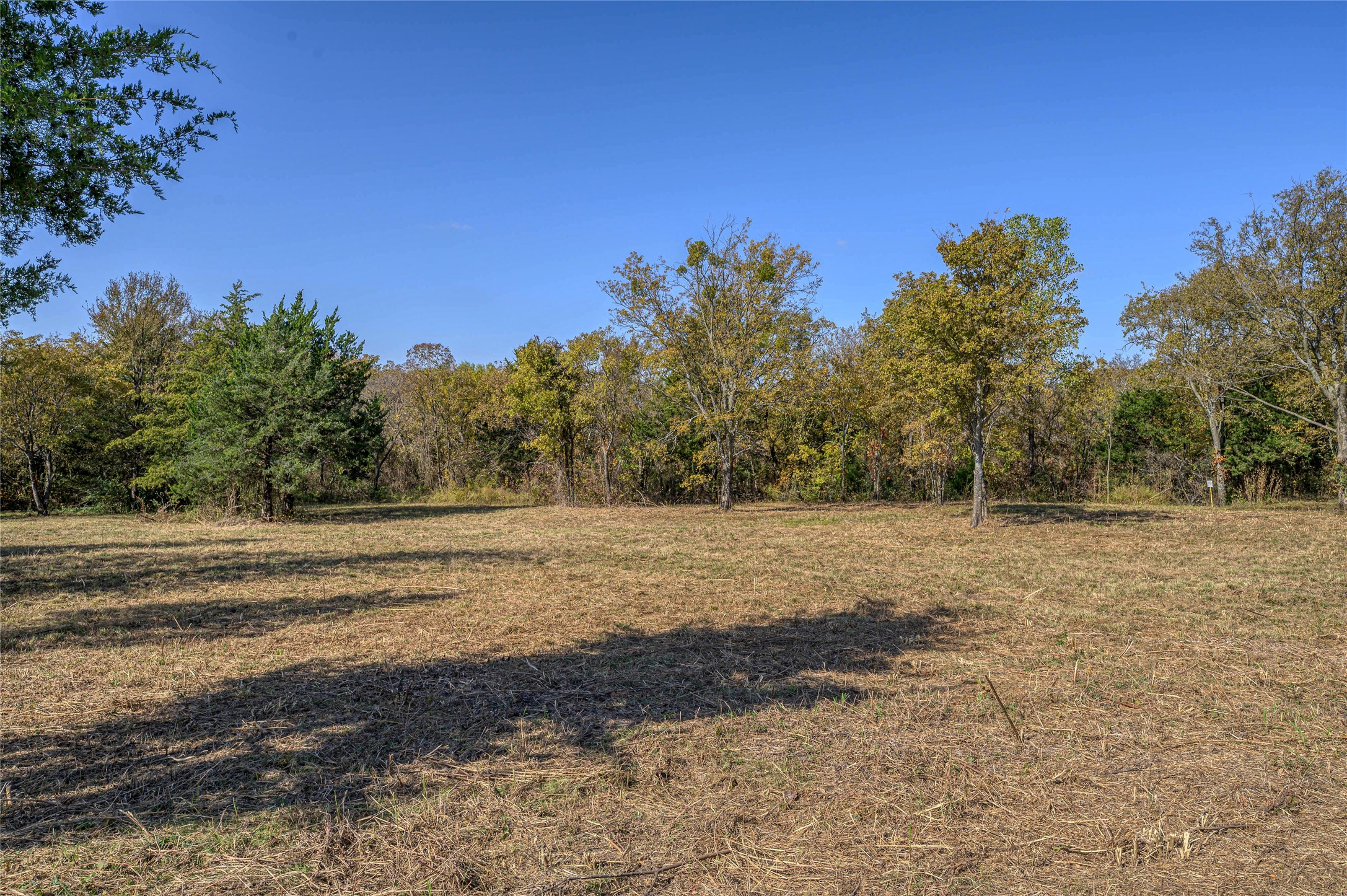 147 Shadow Trail Sherman TX 75092