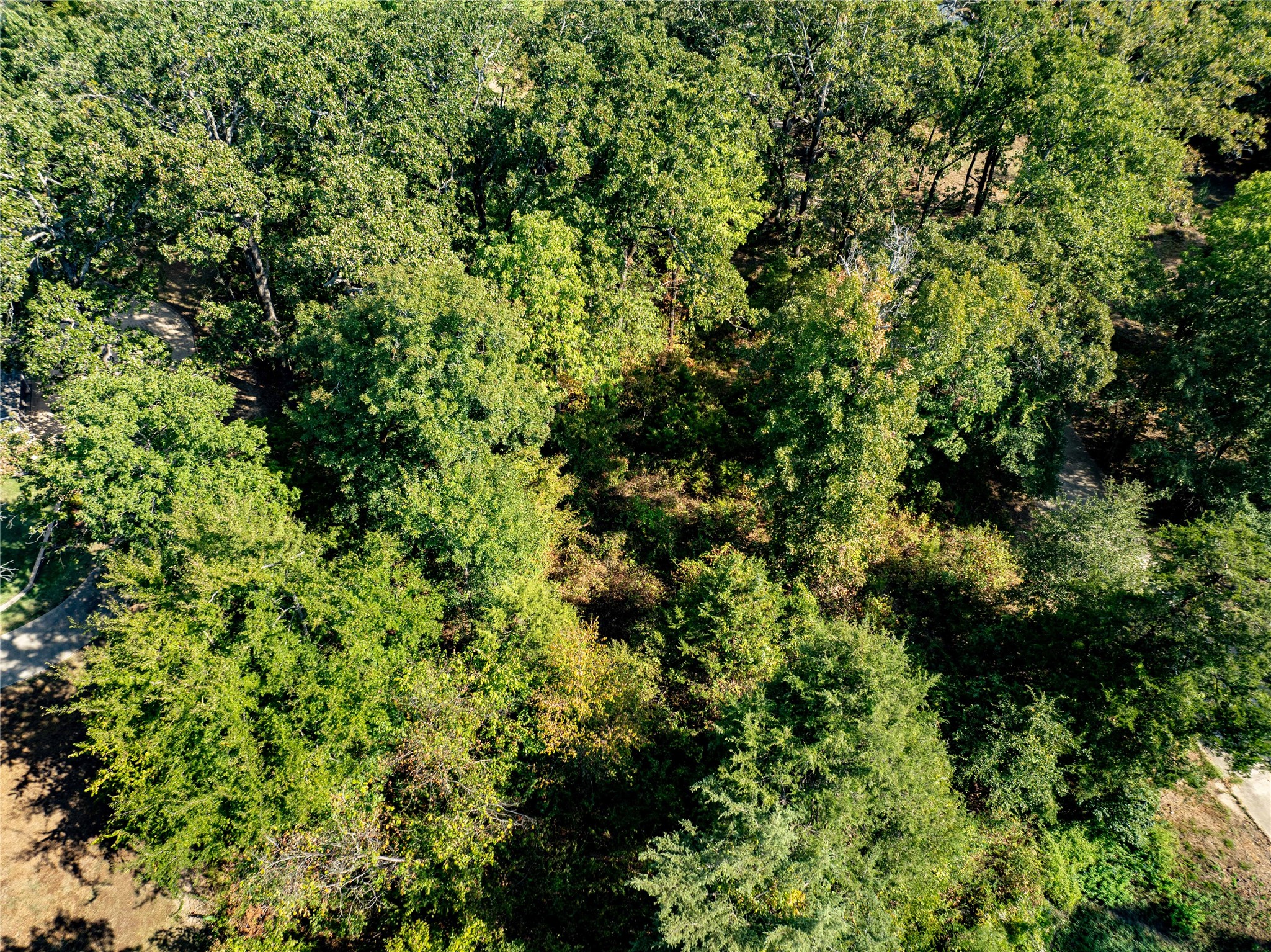 Tbd 168 Deer Valley Drive Powderly TX 75473