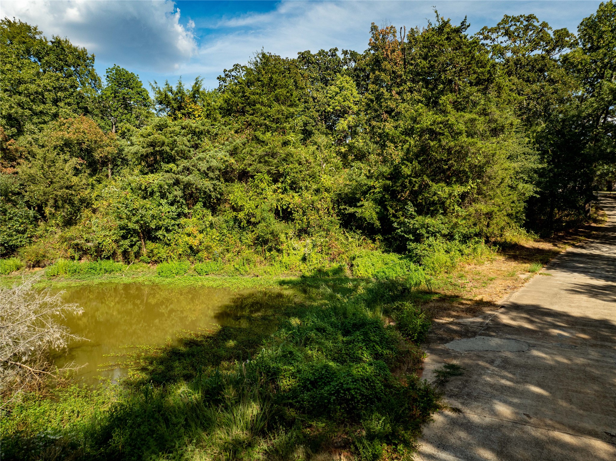 Tbd 168 Deer Valley Drive Powderly TX 75473