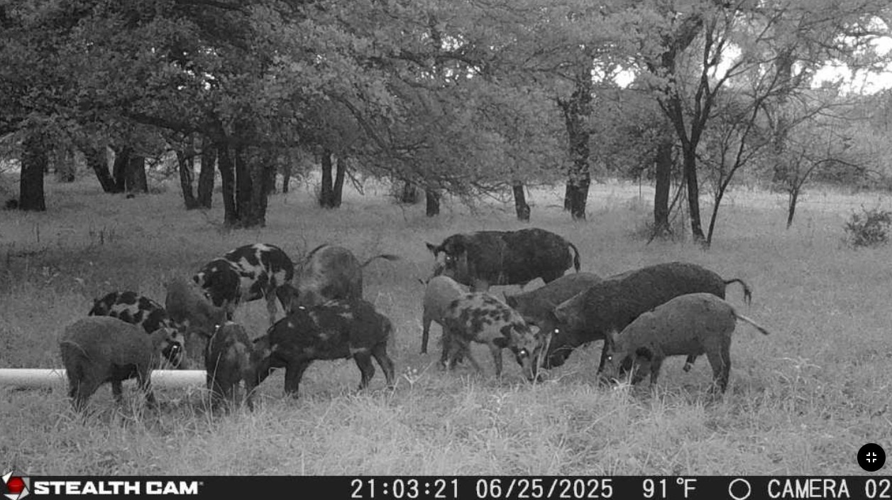 Tbd Coalville Road Gordon TX 76453