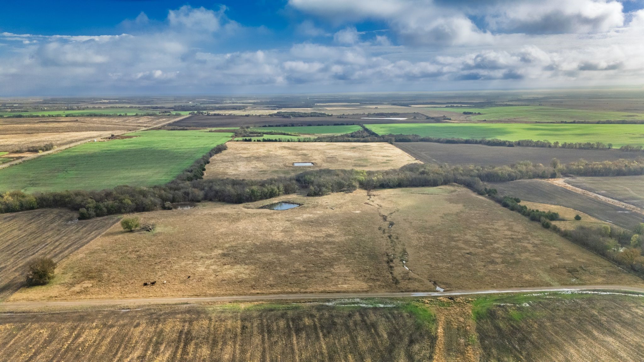 Tbd Cr 3140 Cooper TX 75432