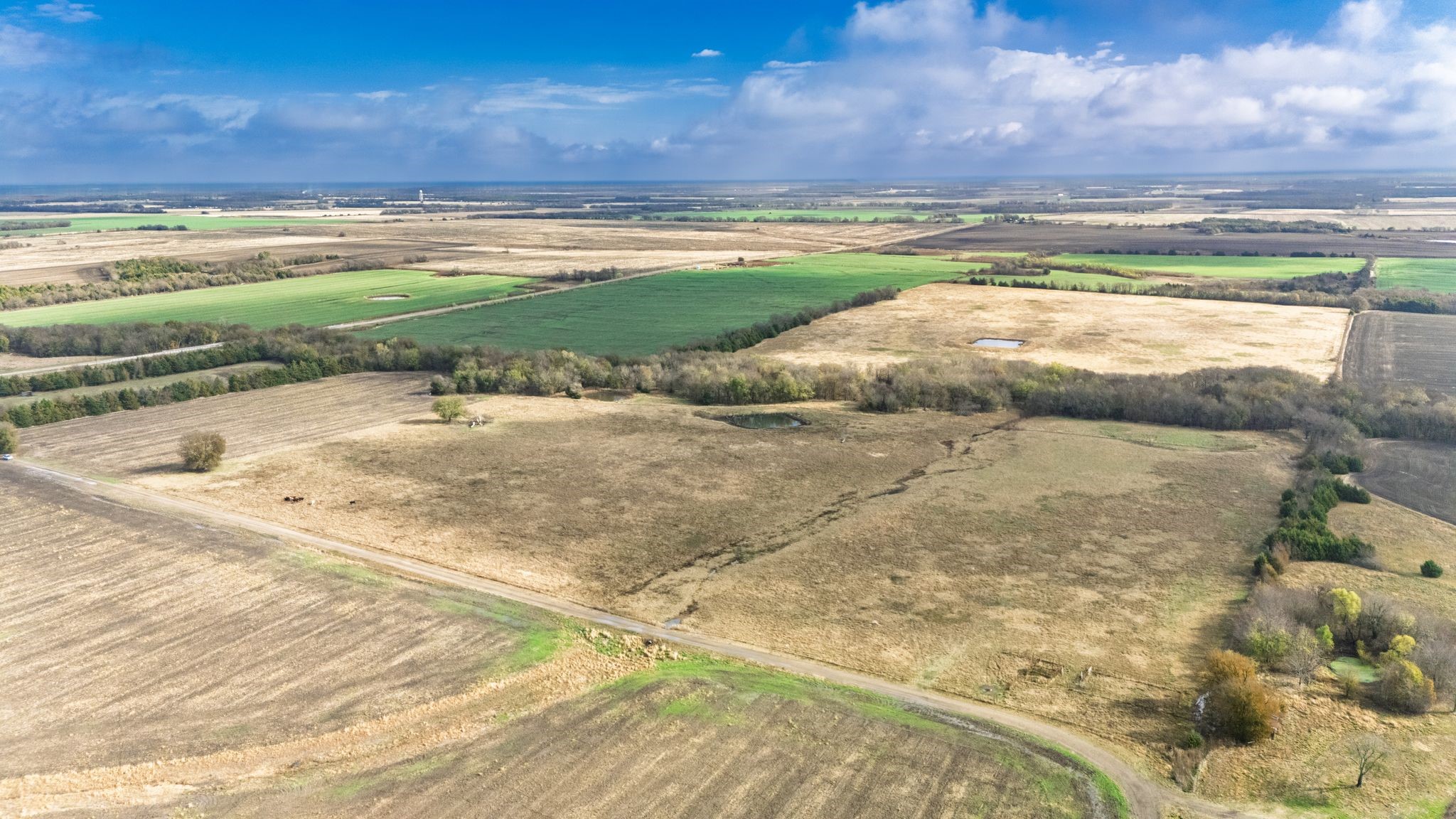 Tbd Cr 3140 Cooper TX 75432