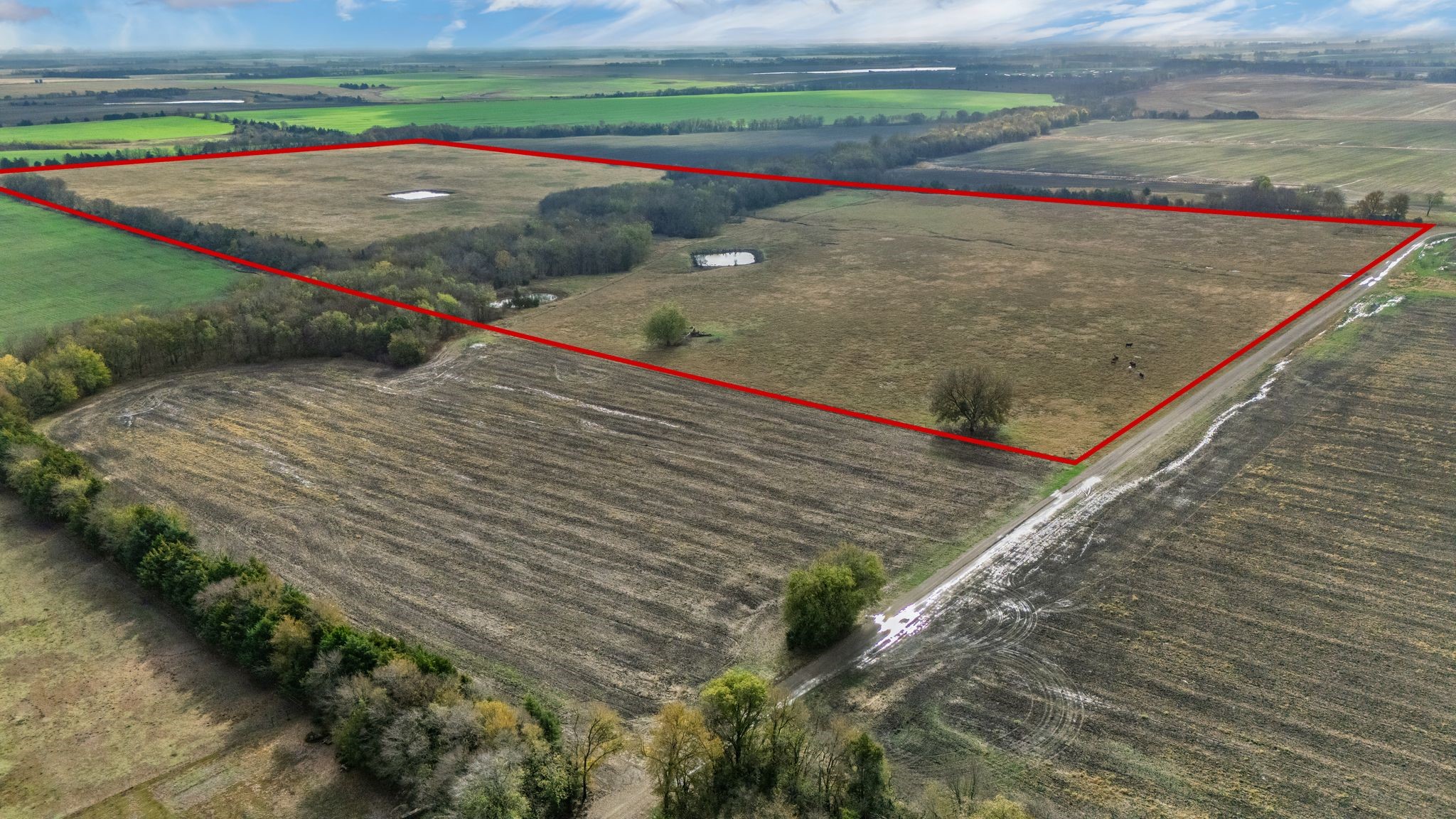 Tbd Cr 3140 Cooper TX 75432