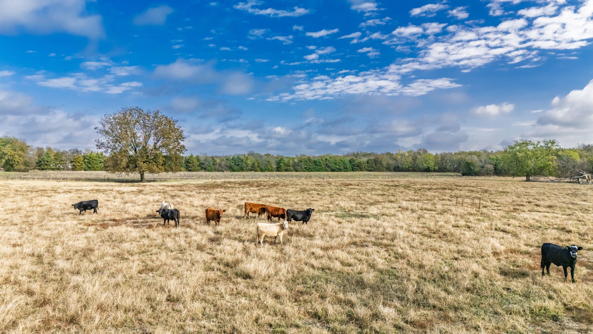Tbd Cr 3140 Cooper TX 75432