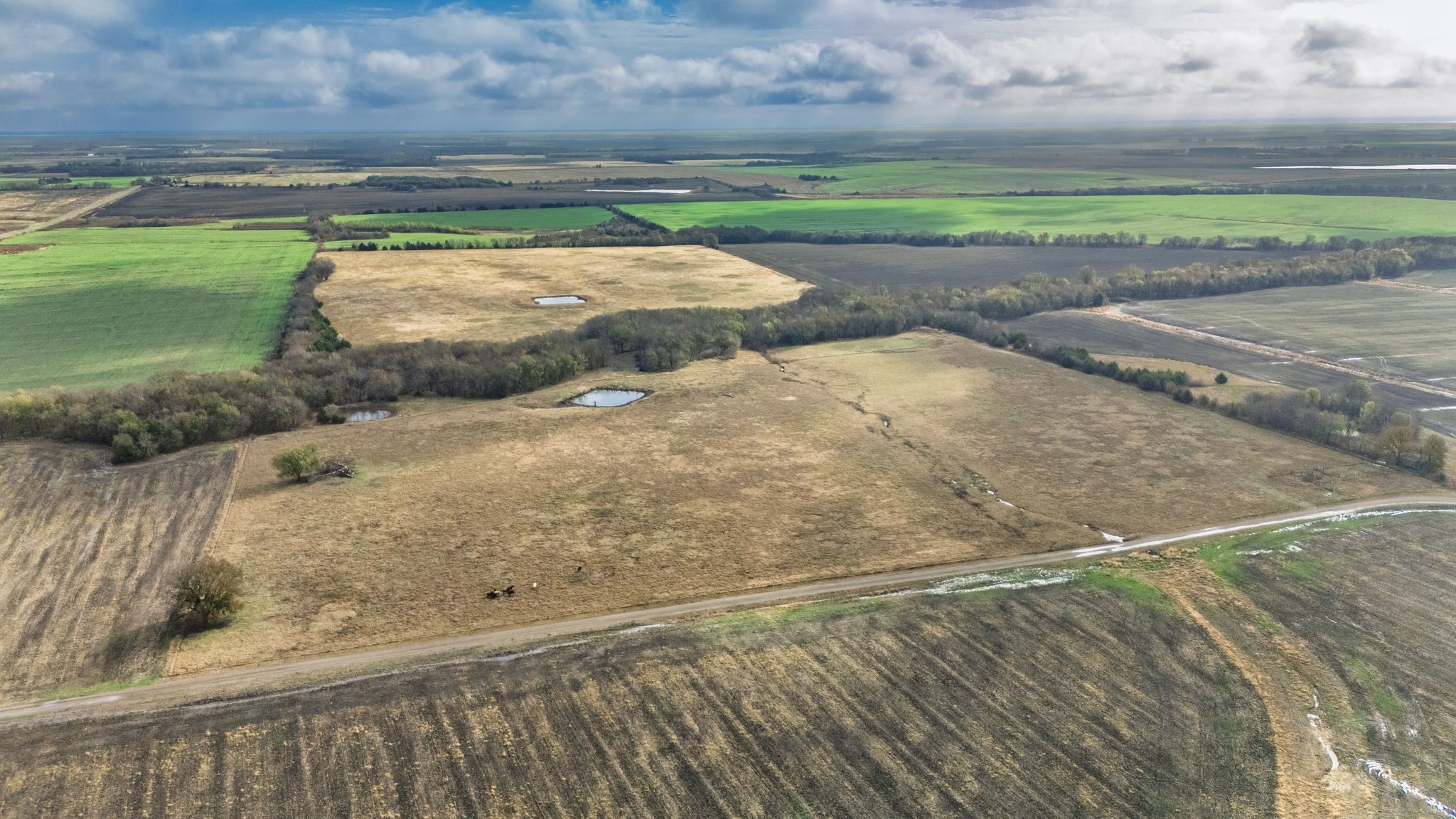 Tbd Cr 3140 Cooper TX 75432